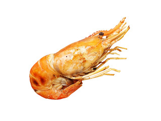 grilled river prawn on a white background