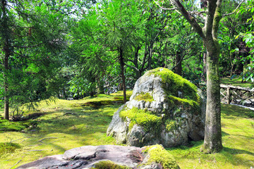 Big stone with moss in ornamental garden, Rokuon-ji complex, Kyoto, Japan