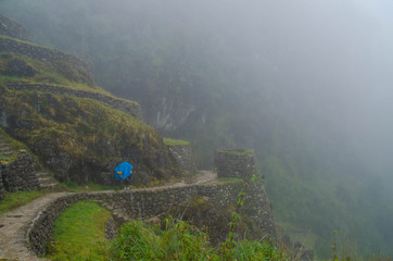 Bolivia reigns the equatorial forest, always lush and rich in the most varied essences