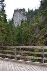 Fototapeta na wymiar Dolina Kościeliska, widok z drewnianego mostku, Tatry, Polska