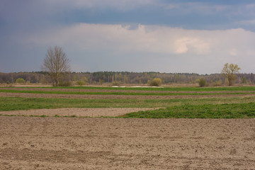 Spring landscape with a sown field, a forest in the background and a stormy sky above them