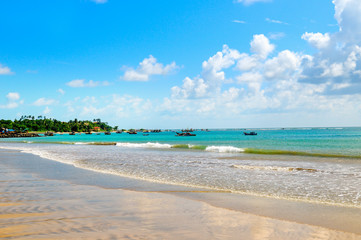 Fototapeta na wymiar Ocean coast of Sri Lanka in the tropics. The concept is travel.