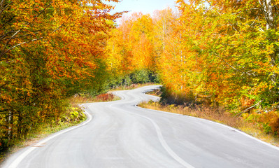 Obraz premium Autumn forest landscape reflection on the water with wooden pier - Autumn landscape in (seven lakes) Yedigoller Park Bolu, Turkey