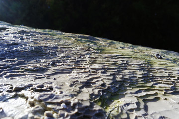Shaped stone in a geothermal area