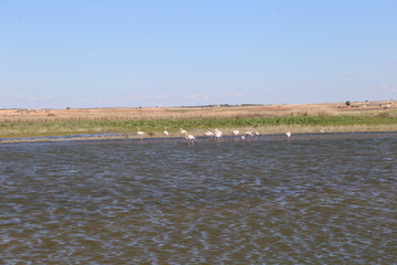 Complejo Lagunar Manjavacas