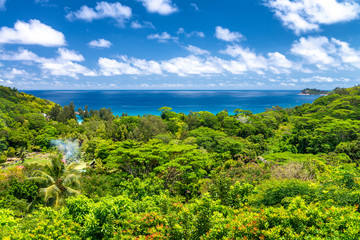 Amazing tropical landscape with trees and blue sky