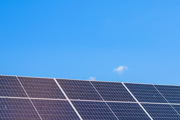solar panels accumulate green energy