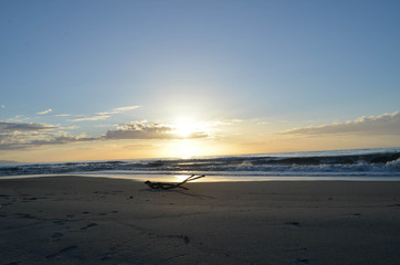 calabria sunset by the sea with bee background and branches carried by the storm
