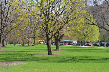 park in spring