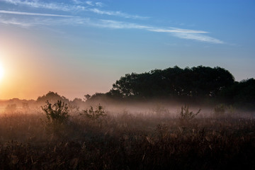 Fototapeta na wymiar The sun rises over the horizon early in the morning. Trees in the field and fog at dawn. Red-orange sky in the rays of the rising sun and a field in the fog.