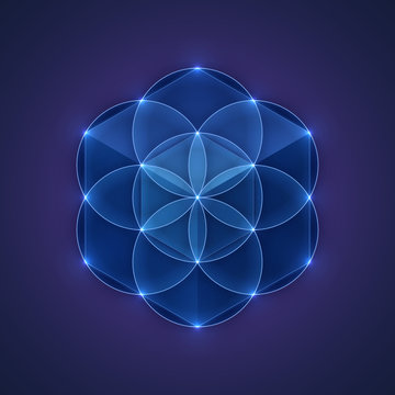 Sacred geometry, seed of life. Vector illustration.