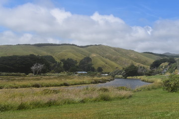 Naklejka premium 草原と川