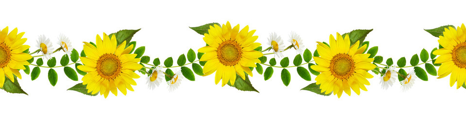 Fresh green leaves of Siberian peashrub, daisies and sunflowers in seamless waved pattern