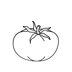 Tomato, abstract, drawing. Raster illustration