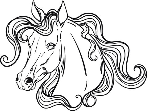 Horse portrait coloring page