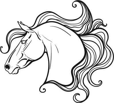 Horse portrait coloring page