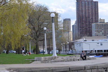view of the city -  Chicago Lincoln park Neighborhood