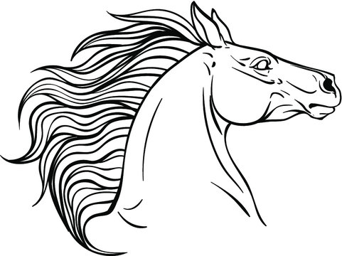 recommend clip art: Horse portrait coloring page