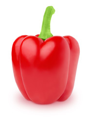Fresh whole red Bell pepper isolated on a white background.