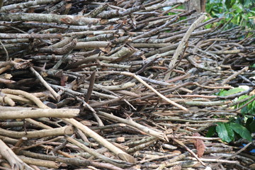 Firewood arranged in stacks which is dry and ready for use