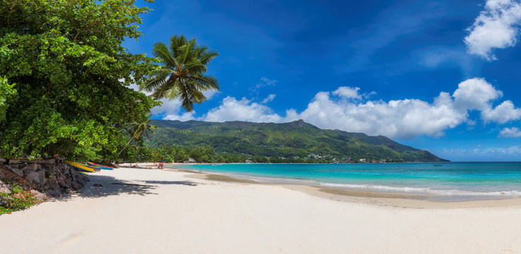 Panoramic view of amazing Beau Vallon beach with white sand and coconut palm tree on Mahe island, Seychelles.