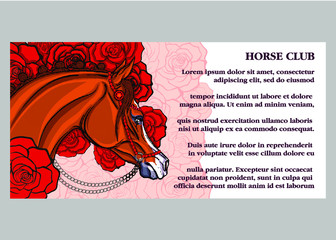 Equestrian club card