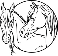 horses portrait vector illustration. coloring page