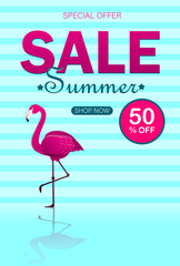 Summer sale background with pink flamingo, vector illustration
