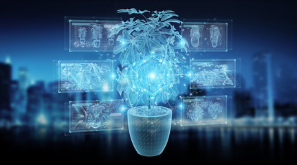 Fototapeta na wymiar Holographic projection of a plant with digital analysis on blue background 3D rendering