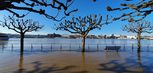 Flood in Bonn-Beuel germany photographed towards Bonn february 2020 in the morning, beautiful...