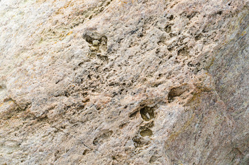 Granite. The structure of the stone. Rock.