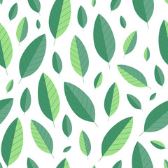 Seamless leaf pattern on white. Green leaves background