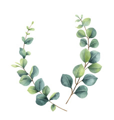 Watercolor vector wreath with green eucalyptus leaves and branches. © ElenaMedvedeva