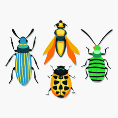 Set of insects isolated on white background