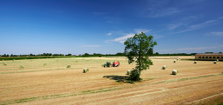 lavori agricoli