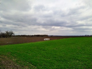 Rural field with greenhouse at spring season