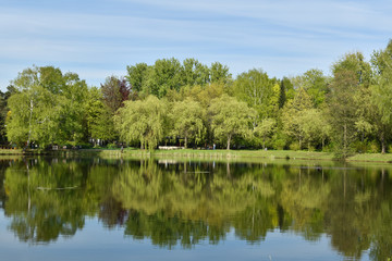 Fototapeta na wymiar widok na las za sadzawką w parku 