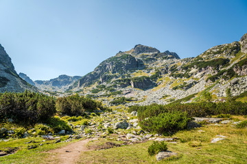 Plakat Beautiful mountain scenery in a sunny summer day. Rila mountain, Bulgaria. Hiking/ trekking concept.