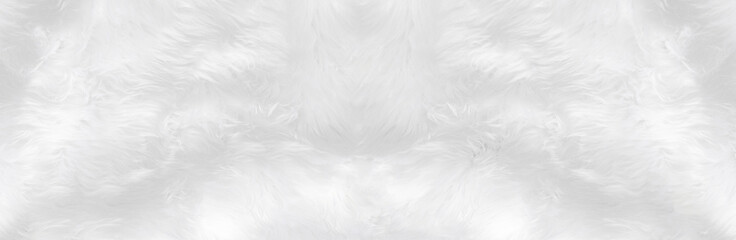 Fototapeta na wymiar Wide animal white wool sheep background in top view light natural. Grey fluffy seamless cotton panoramic texture. Wrinkled lamb fur coat skin, rug mat raw material, fleece woolly textile concept
