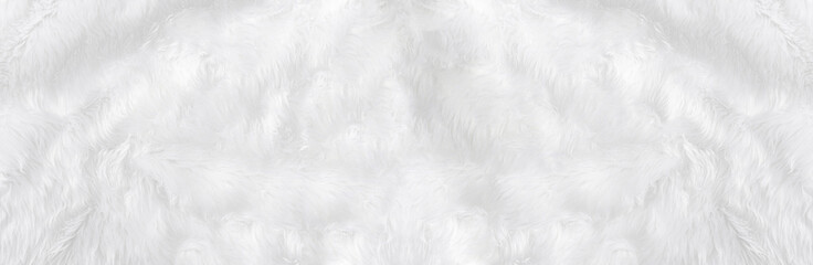 Wide animal white wool sheep background in top view light natural. Grey fluffy seamless cotton...