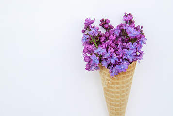 flower composition. Lilac flowers in an ice cream cone on a white background. Flat lay, space for text. Valentine's day, mother's day, womens day concept.