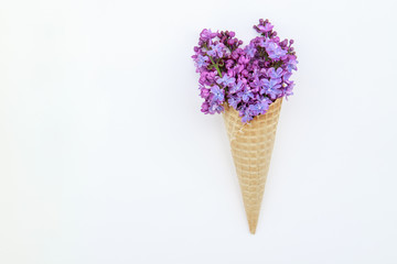 Floral spring background. Lilac flowers in an ice cream cone on a white background. Flat lay, space for text. Valentine's day, mother's day, womens day concept.