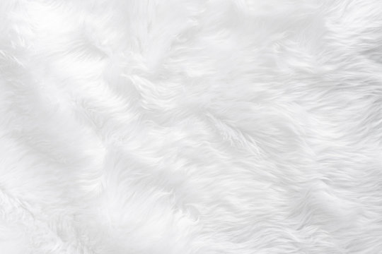 A seamless soft white fur texture