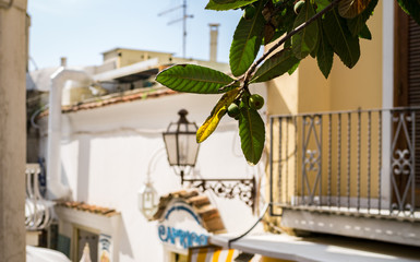 Famous Amalfi Lemons grow in above the street markts in sunny Positano, Italy, Amalfi.