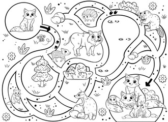 Help the little lost fox find the way to his family. Maze or labyrinth game for preschool children. Puzzle. Tangled road. Forest animals for kids. Black and white for coloring