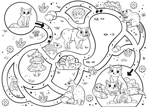 Help the little lost fox find the way to his family. Maze or labyrinth game for preschool children. Puzzle. Tangled road. Forest animals for kids. Black and white for coloring