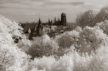 Old Town of Gdansk. View form fortress of Gora Gradowa. Green vegetation in infrared.