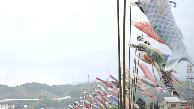 Video of carp streamers lined up in a row in a rural town in Nara in May.