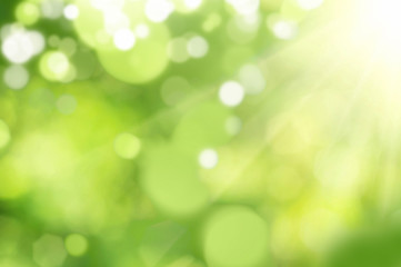 Green and white bokeh background from natural.