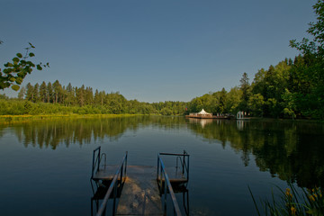 the serene surface of the pond surrounded by forest